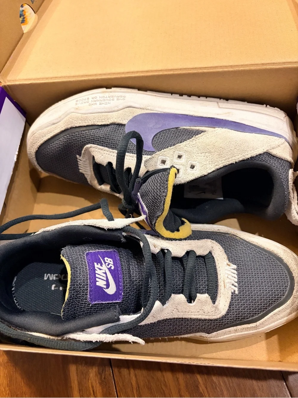 Nike SB Day One